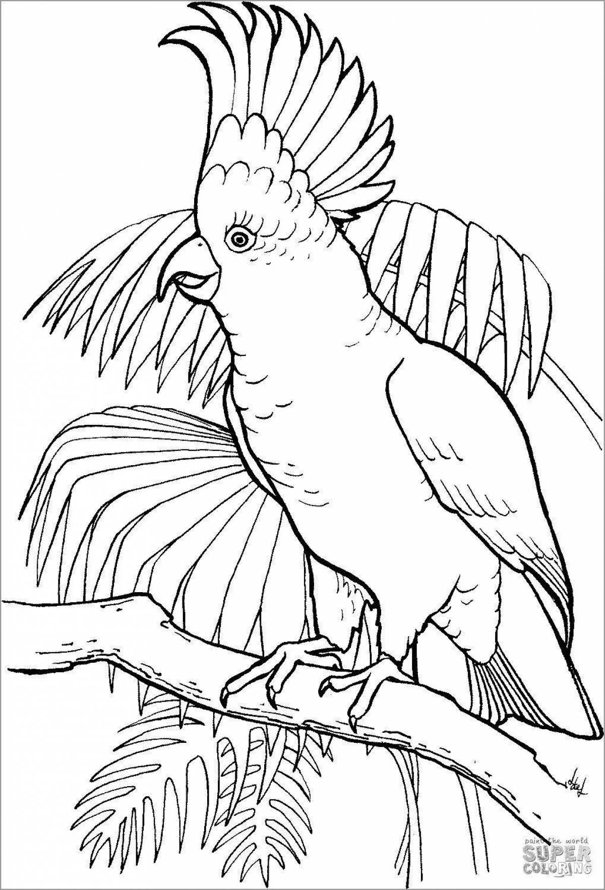 Радостный попугай раскраски для детей