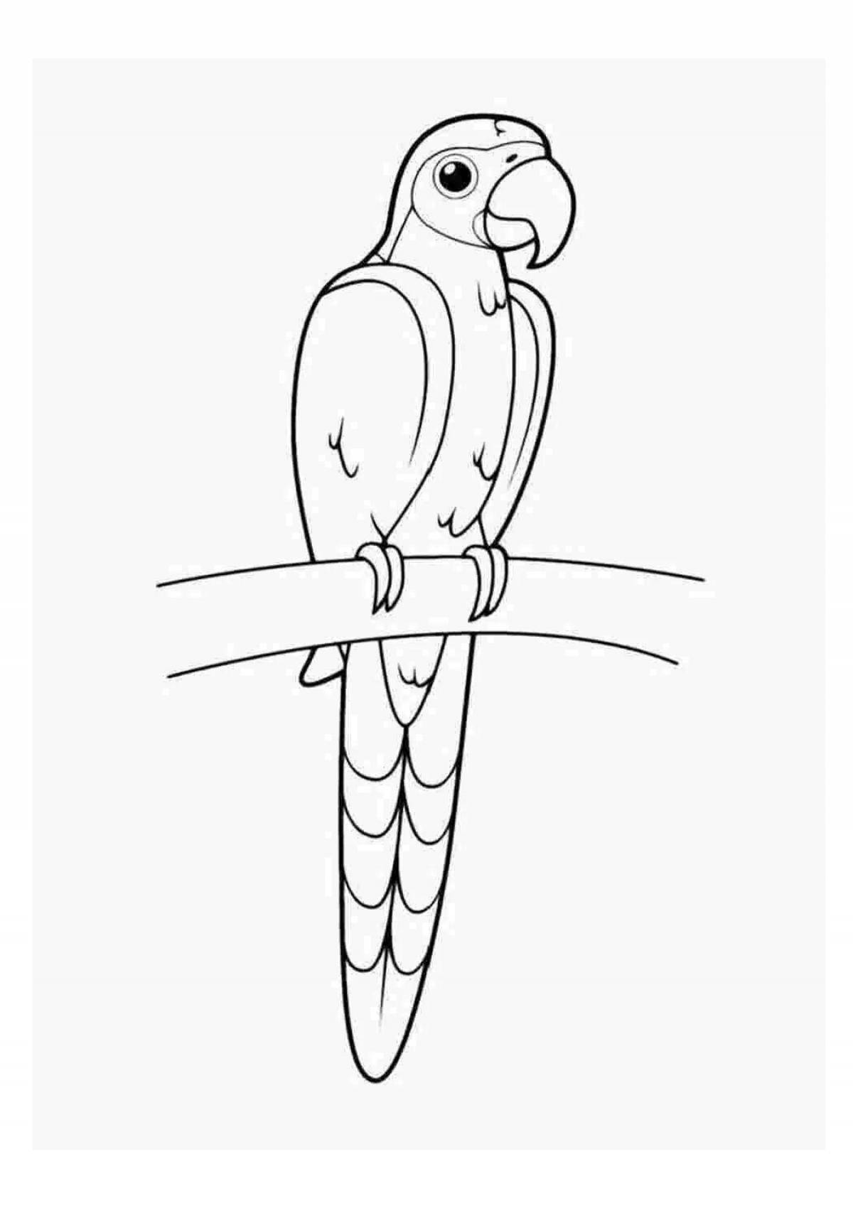 Animated parrot coloring pages for kids