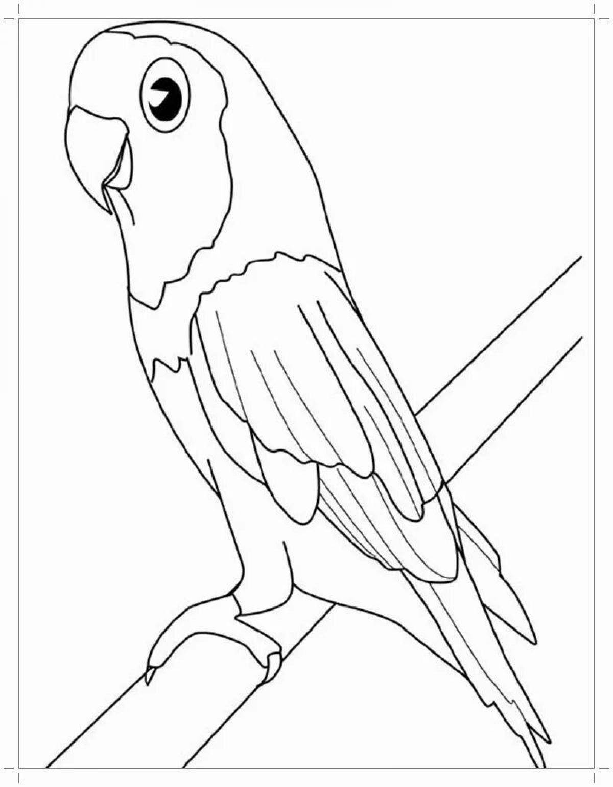 Восхитительная раскраска попугай для детей