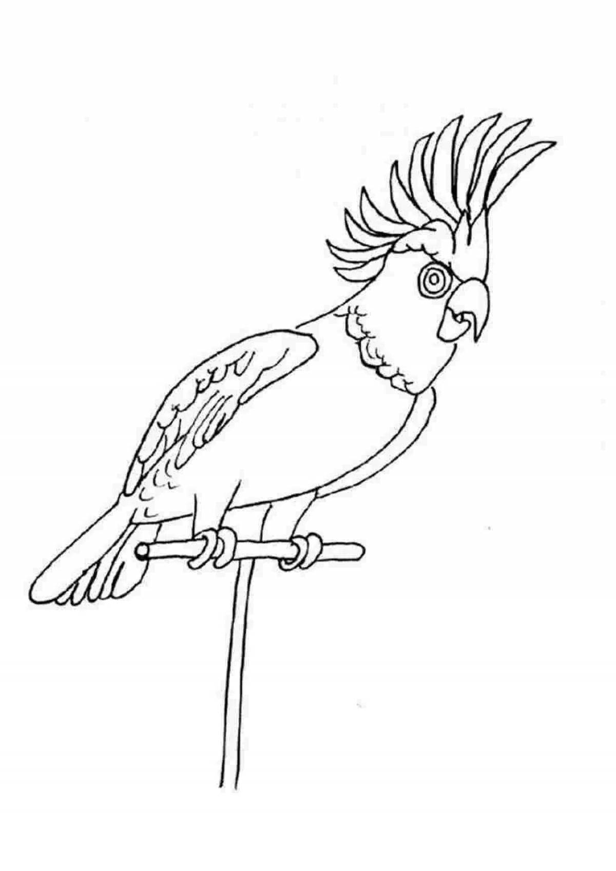 Раскраска смелый попугай для детей