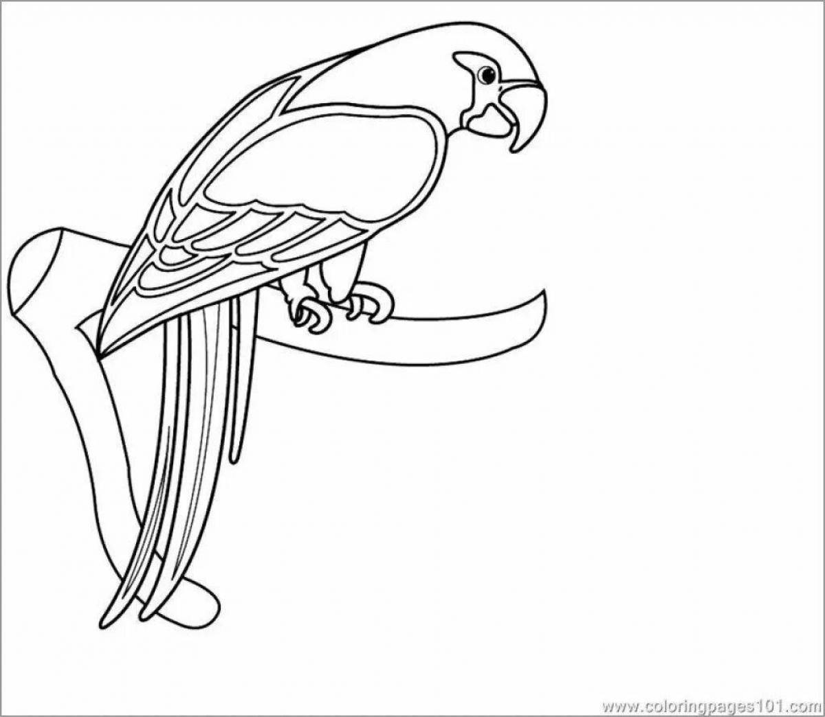 Attractive parrot coloring book for kids