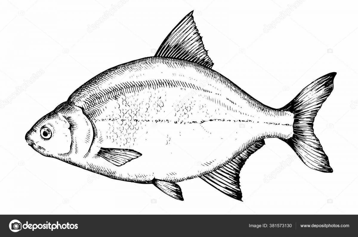 Sparkling bream coloring book for beginners