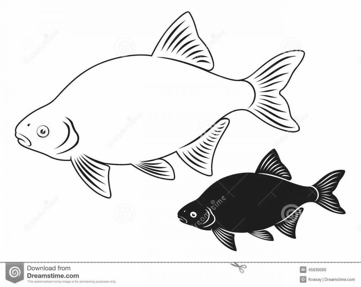 Cute bream coloring page for juniors