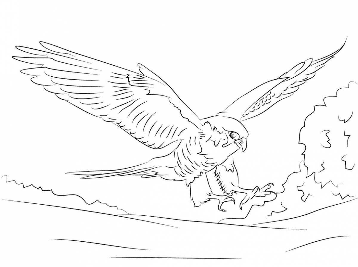 Coloring book humorous peregrine falcon