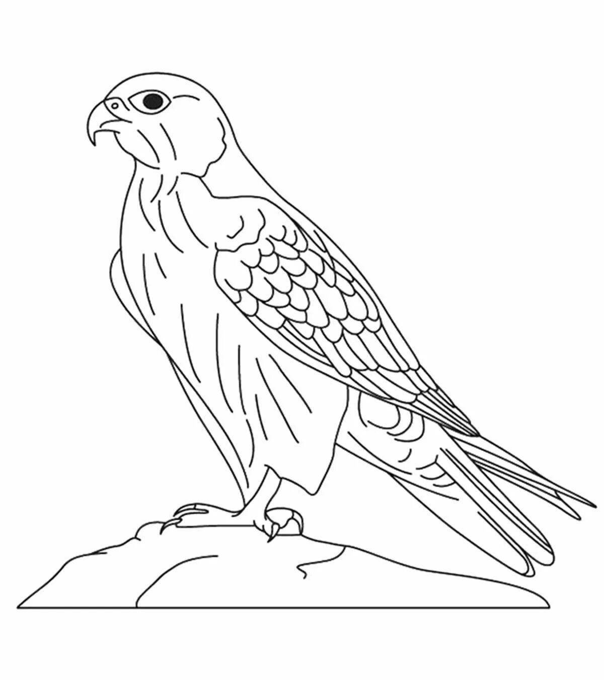 Coloring page friendly peregrine falcon