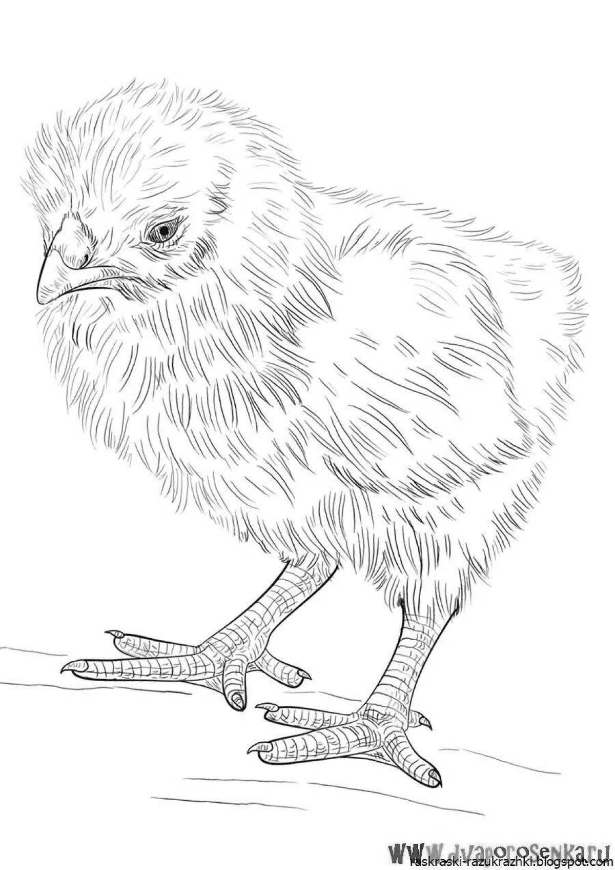 Очаровательный рисунок цыпленка для детей
