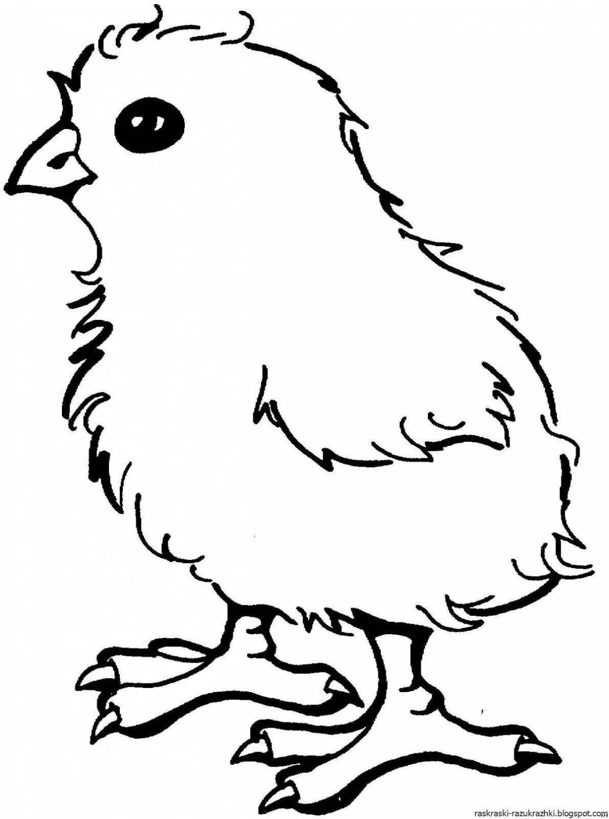 Glowing chick coloring book for kids