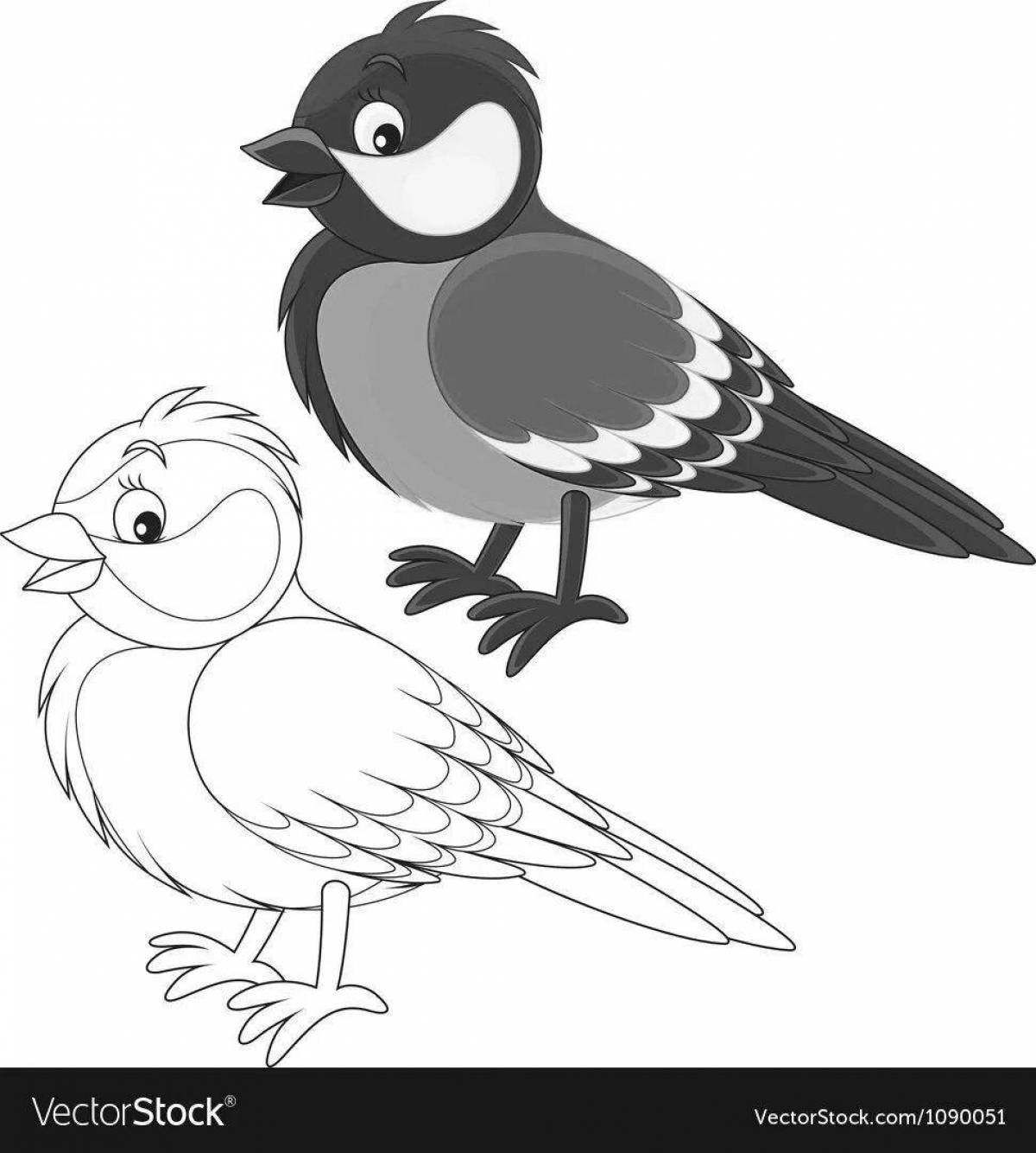 Outstanding drawing of a titmouse for children
