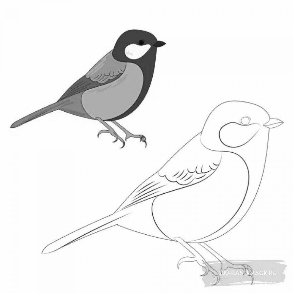 Cute drawing of a titmouse for babies