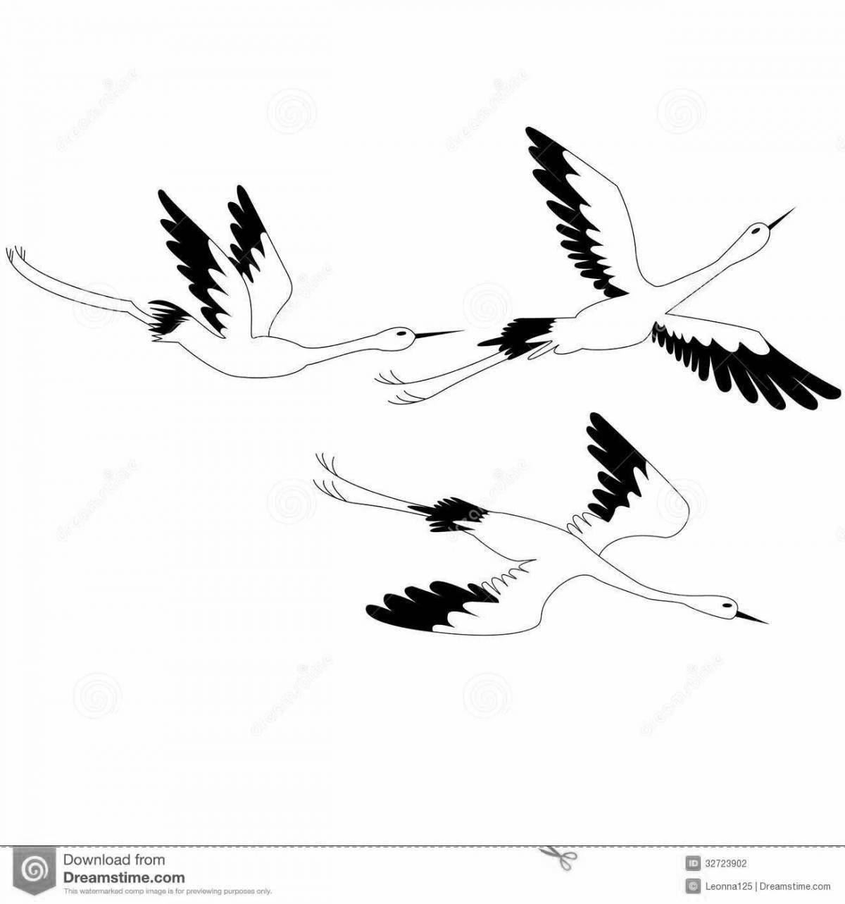Serene cranes fly for children