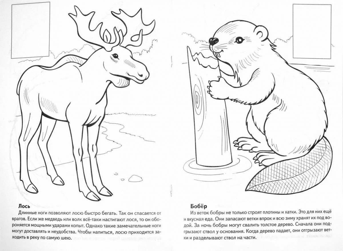 Colorful Russian animals coloring pages for kids