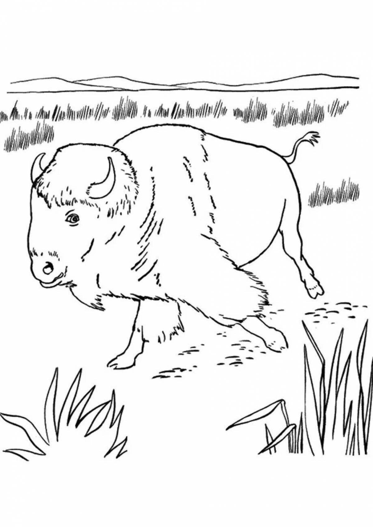 Wonderful Russian animals coloring pages for kids