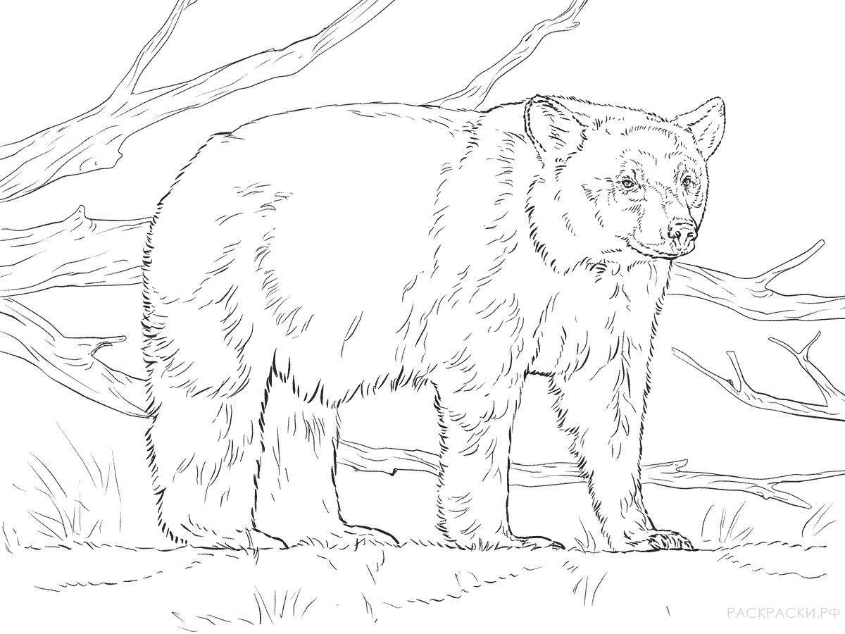 Impressive Russian animals coloring pages for kids