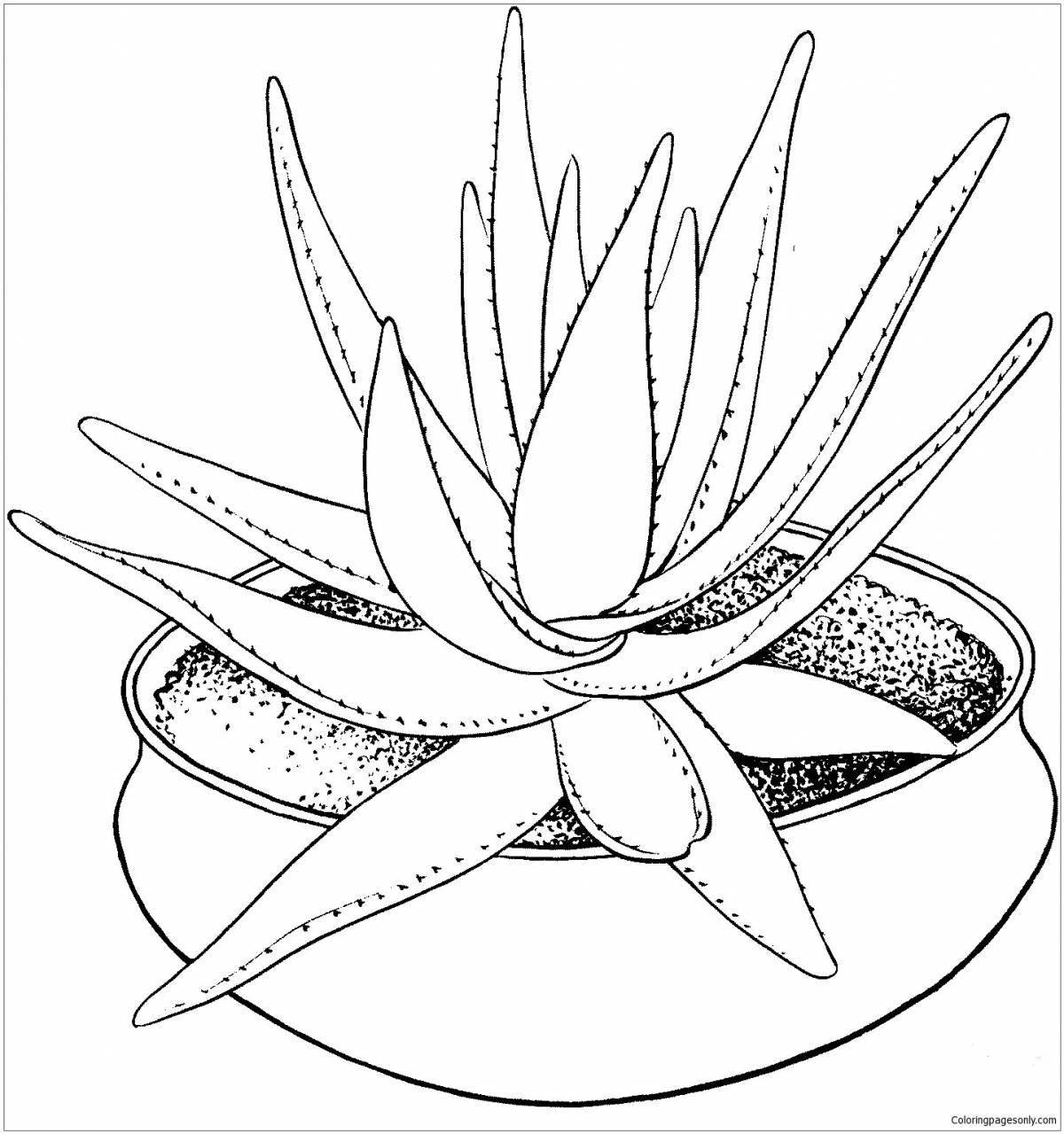 Cute houseplants coloring book for kids