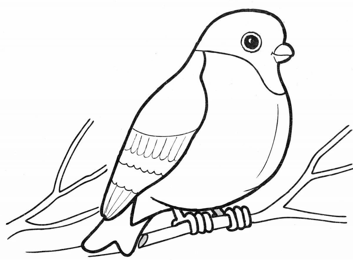 Adorable bullfinch bird coloring book for kids