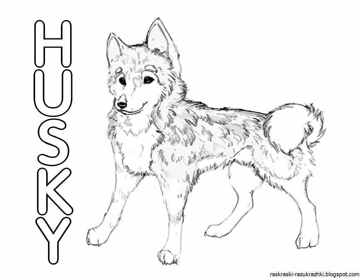 Funny service dogs coloring page for kids