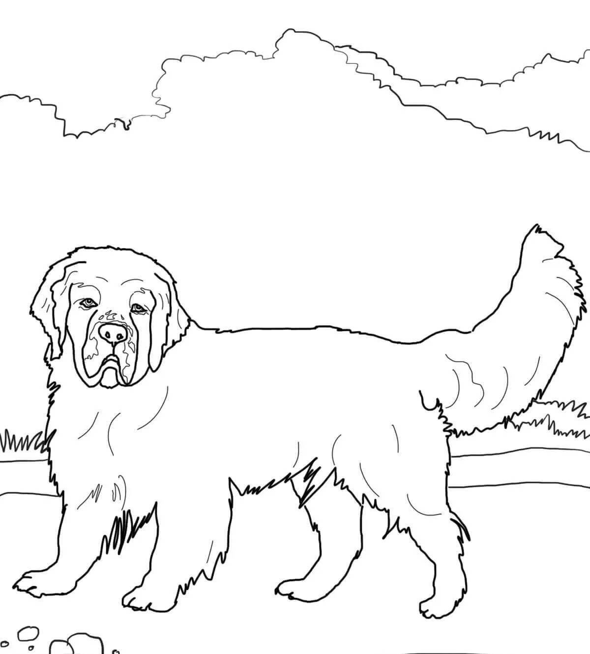 Fun working dog coloring pages for kids
