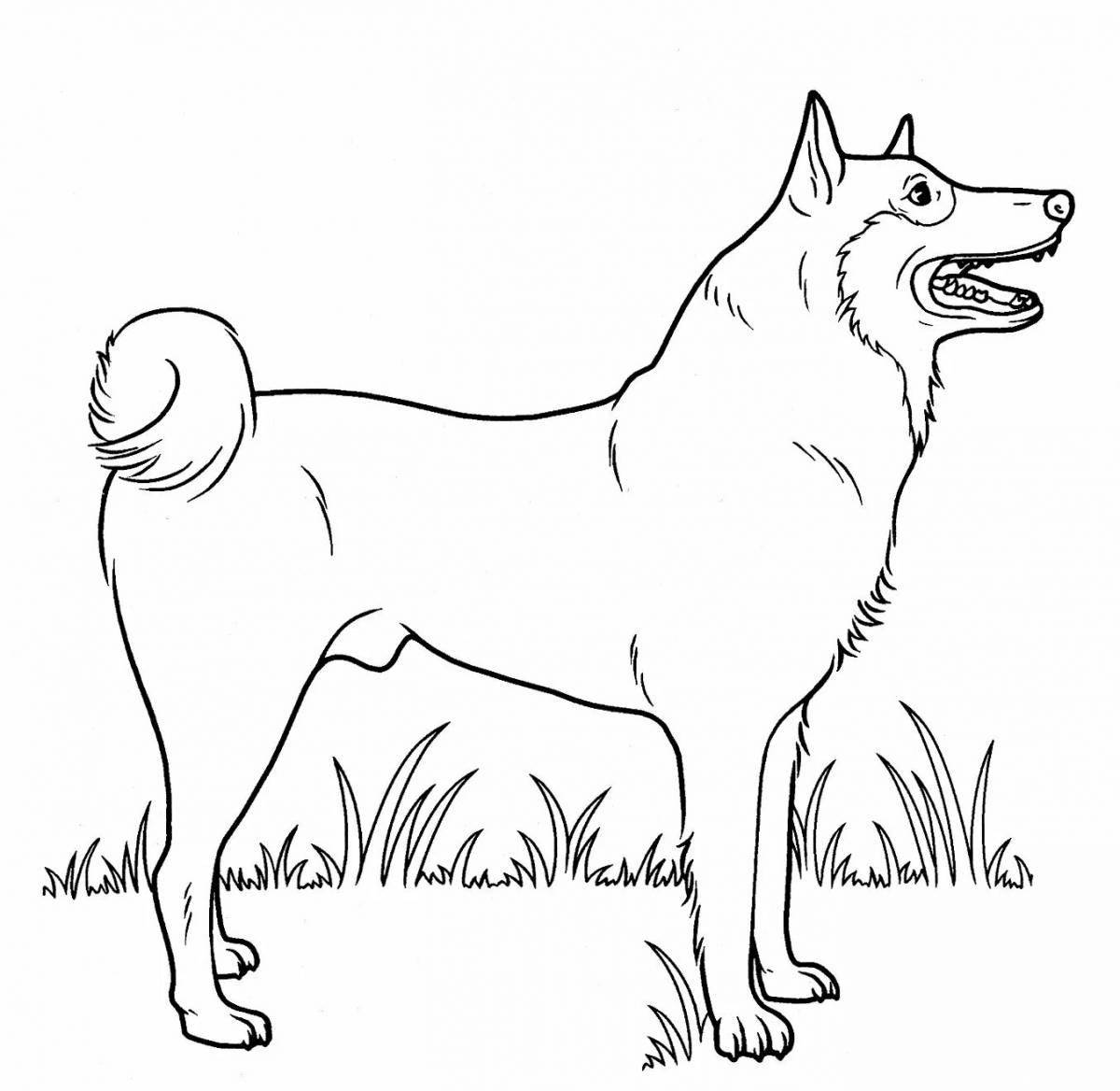 Funny service dogs coloring pages for kids