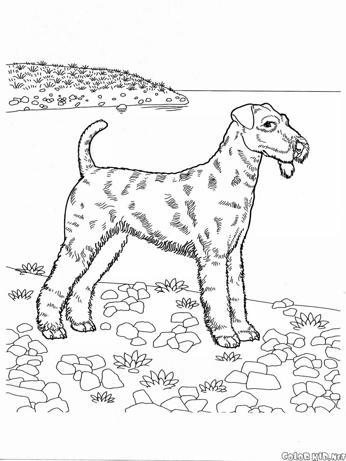 Exciting service dog coloring pages for kids