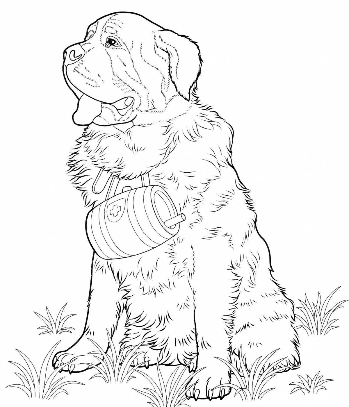 Amazing working dogs coloring pages for kids