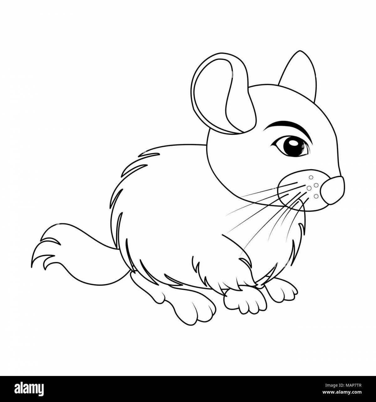 A fun chinchilla coloring book for babies