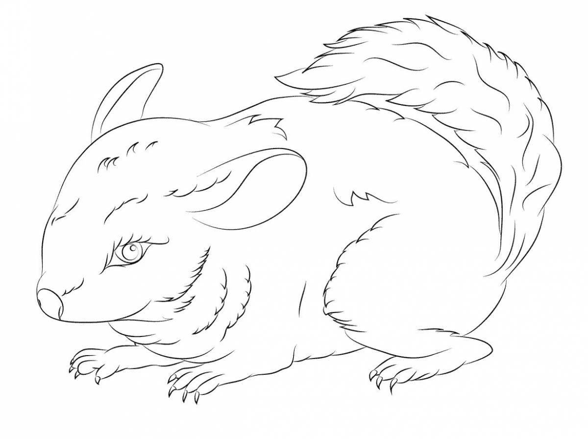 A wonderful chinchilla coloring book for kids