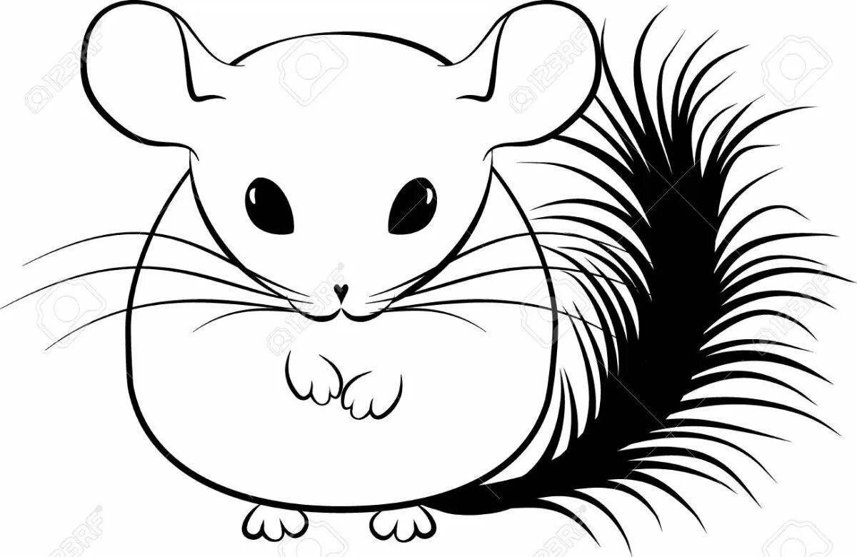 Chinchilla coloring book for babies