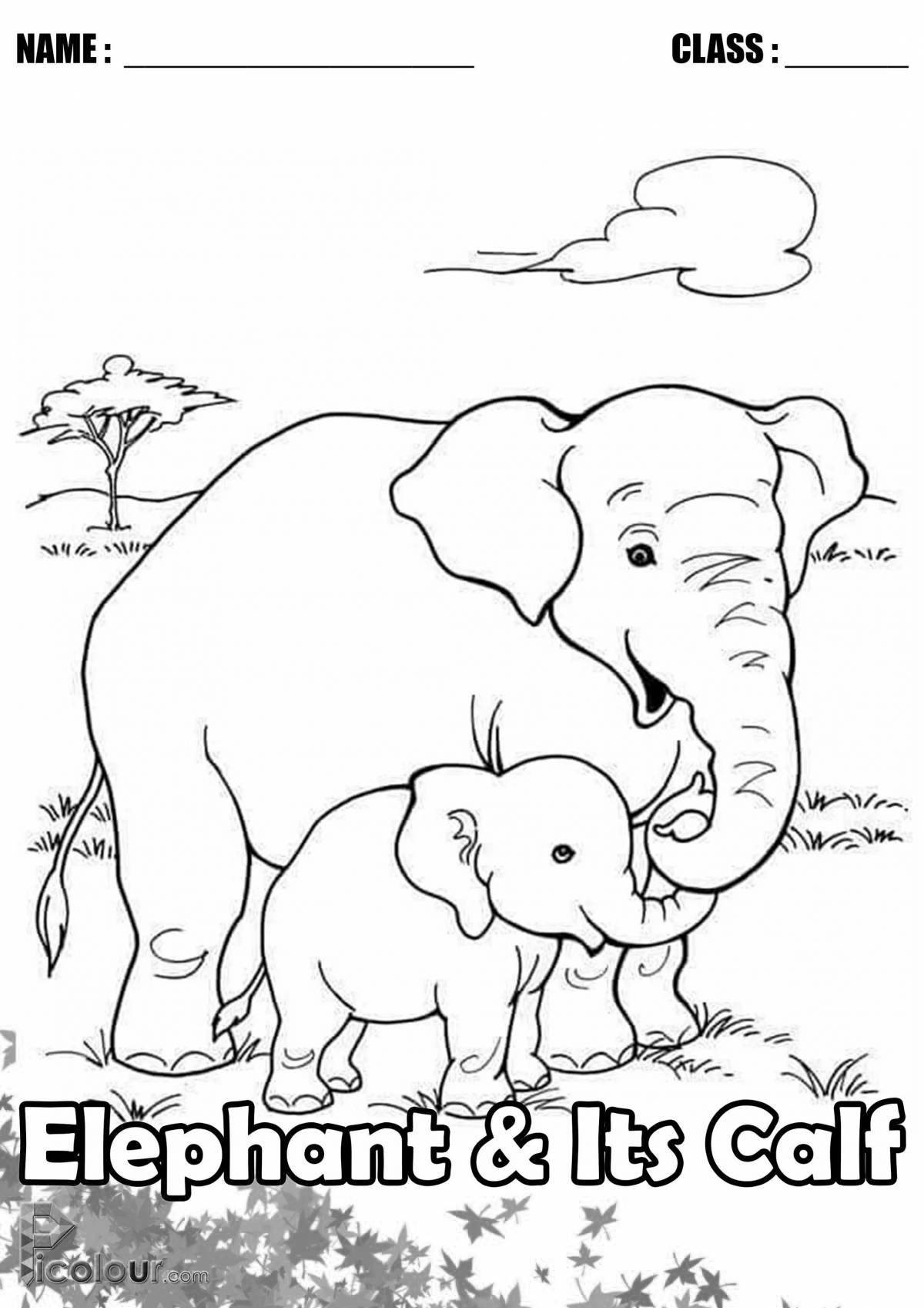 Vibrant zoo animal coloring page