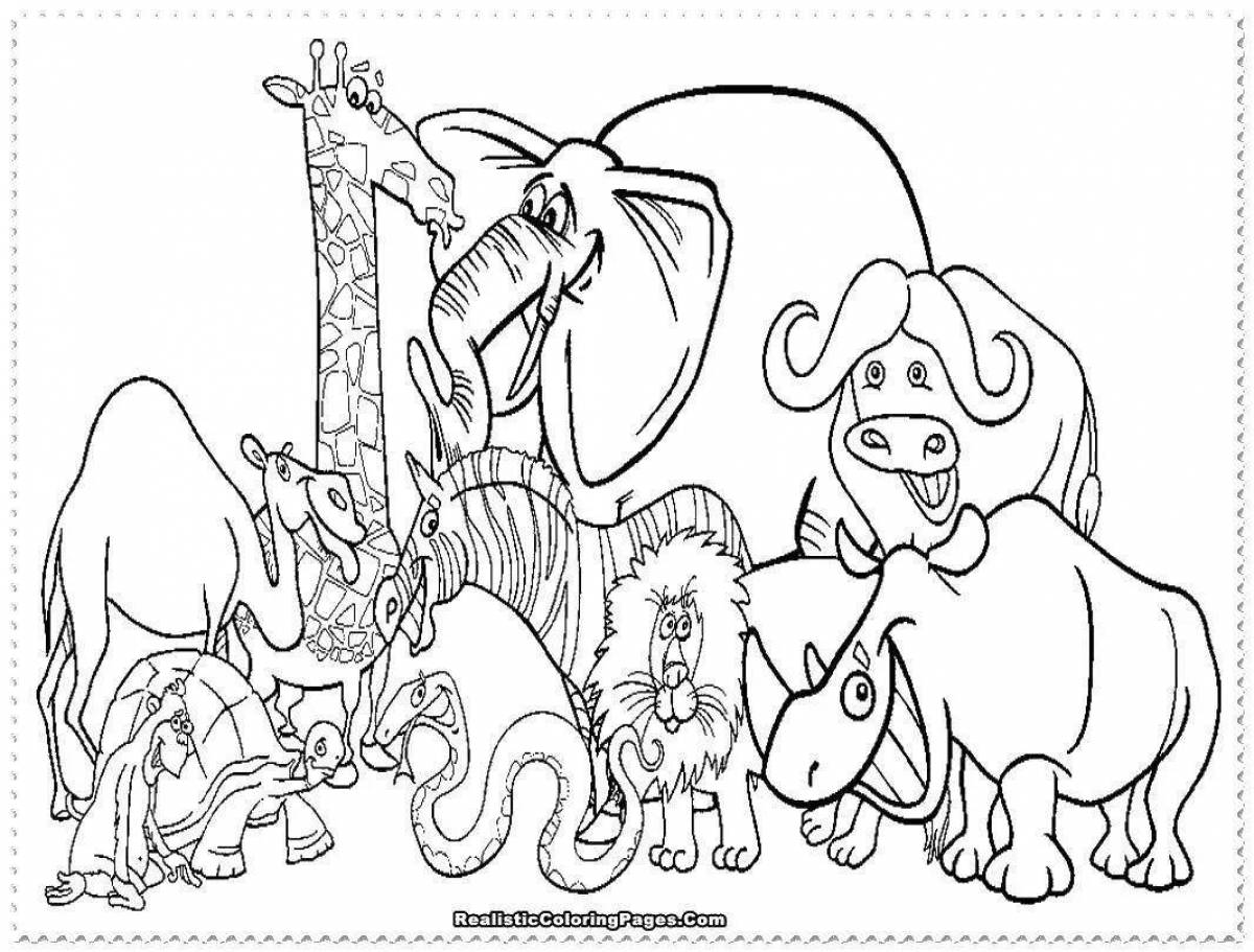 Fun zoo animal coloring book