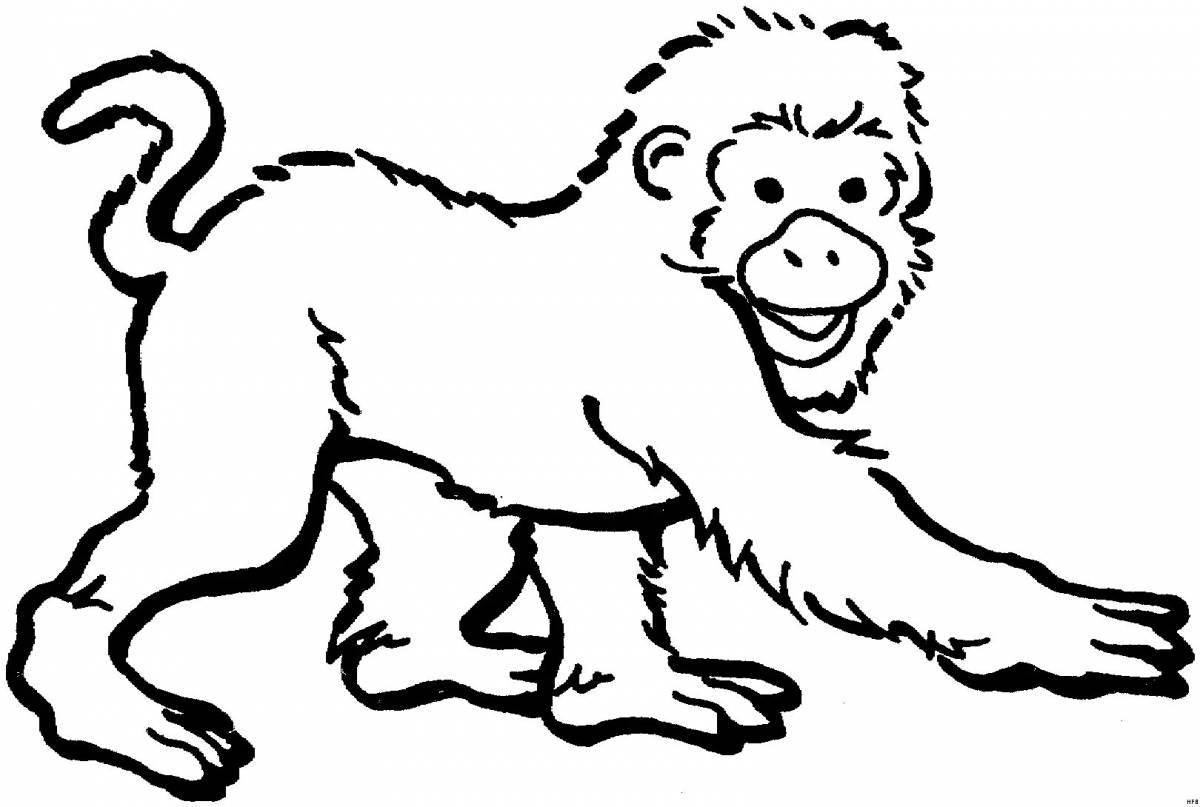 Photo Zoo animals for kids #5