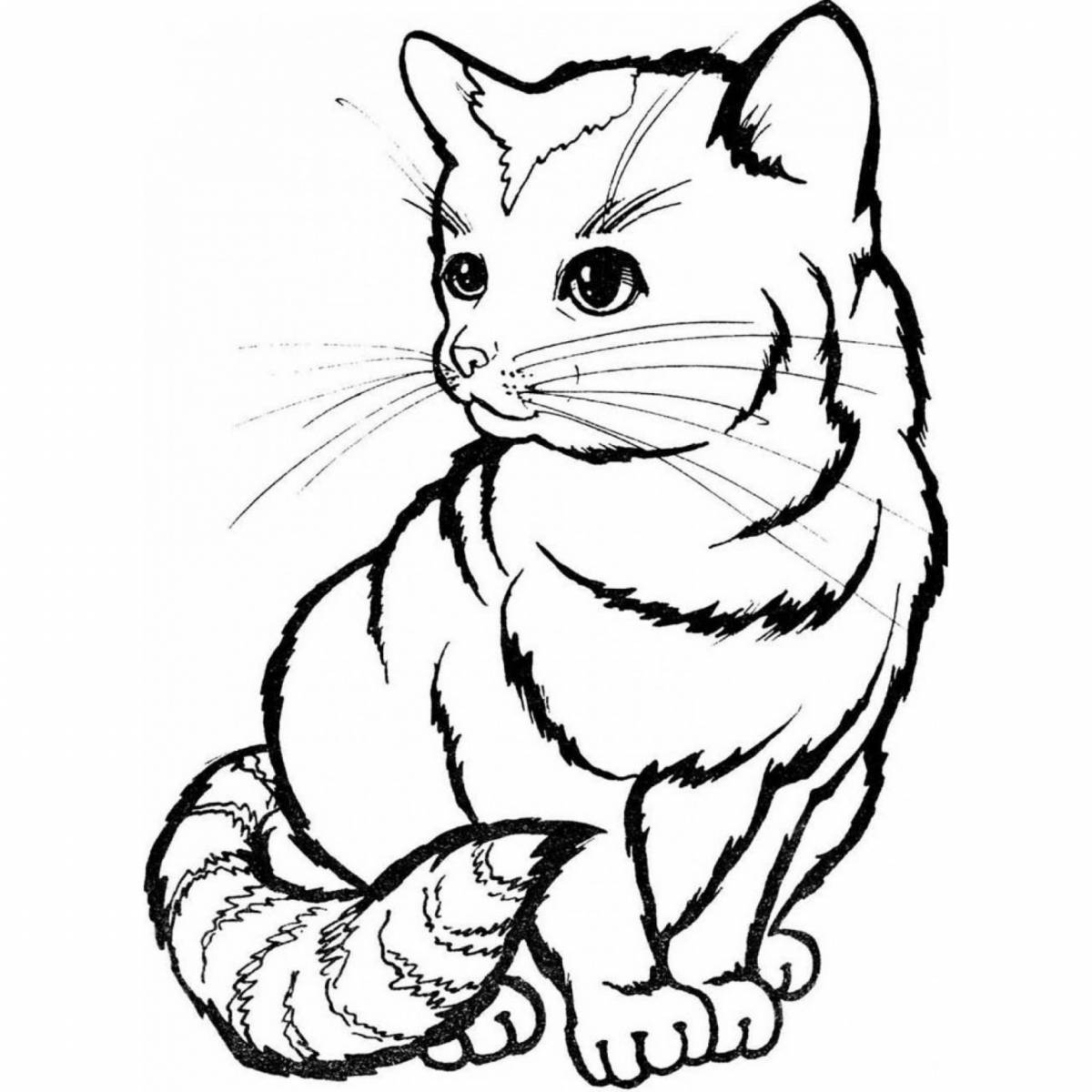 Colorful kitty coloring page