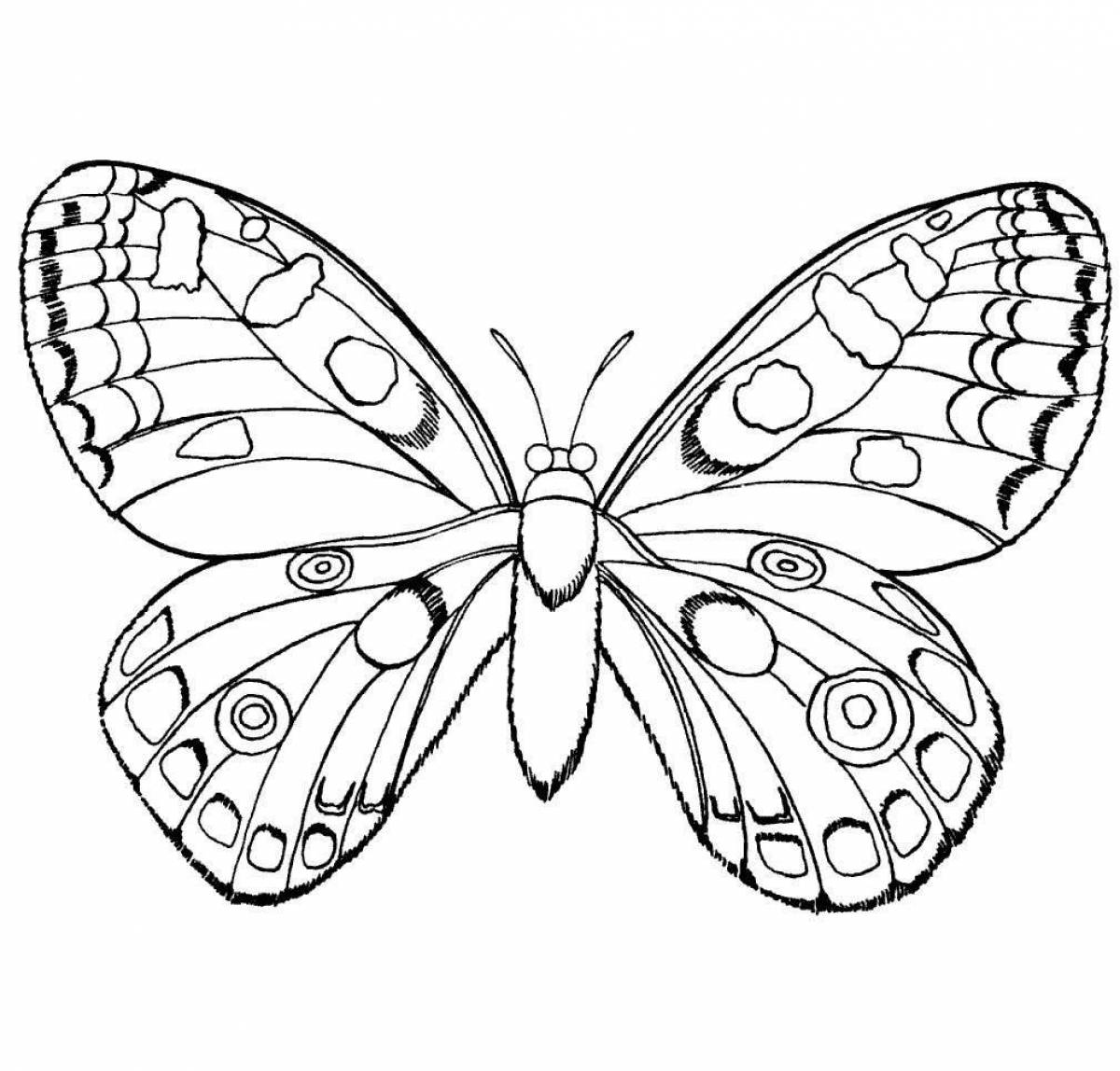 Fabulous butterfly coloring book