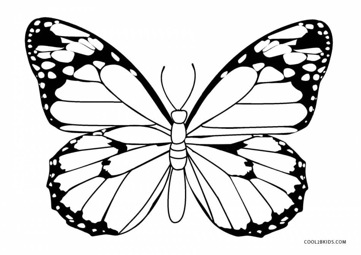Раскраска великолепная бабочка