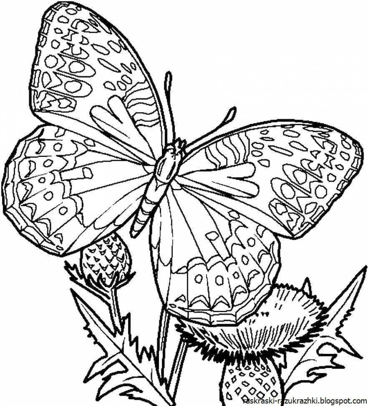 Раскраска порхающая бабочка