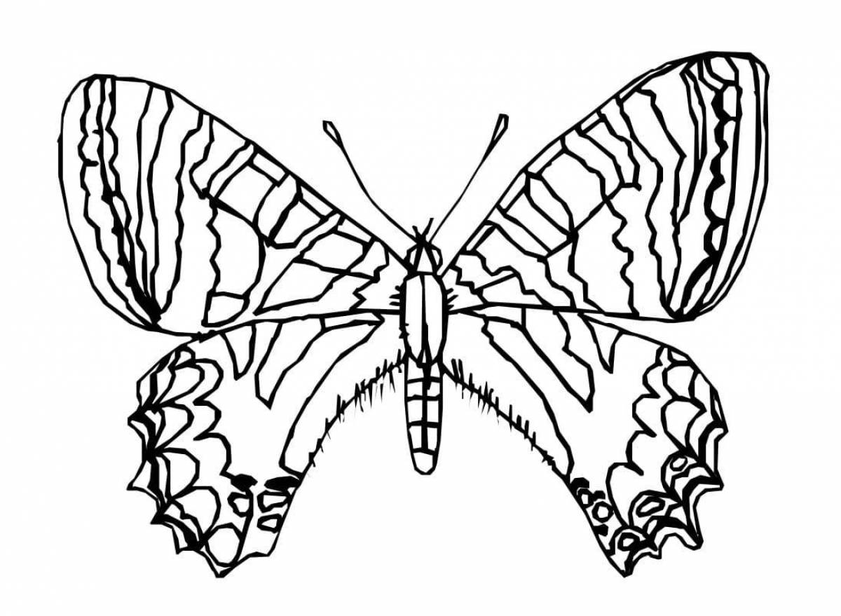 Coloring book dazzling butterfly