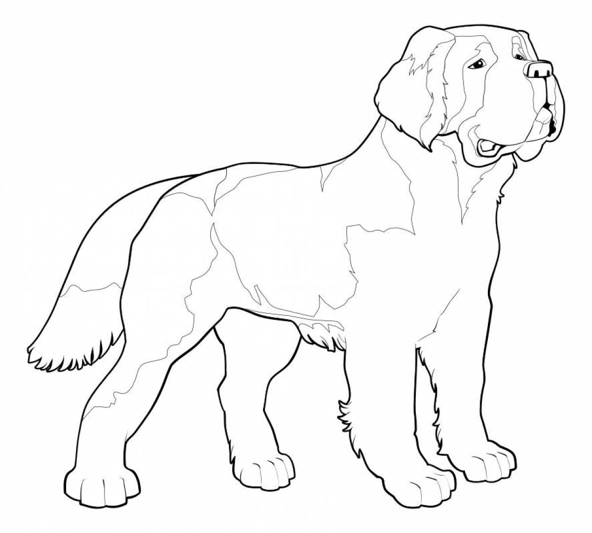Brave dog coloring book