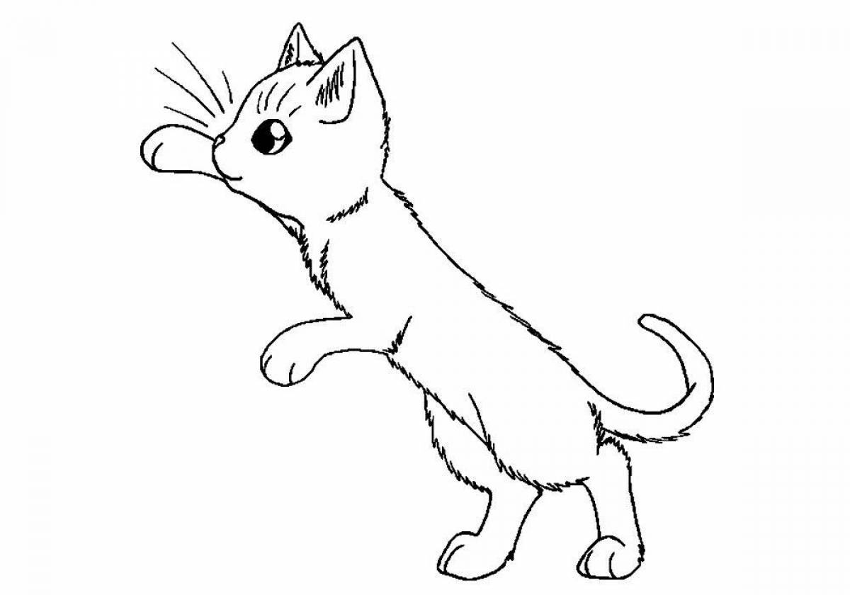 Любопытная раскраска кошка