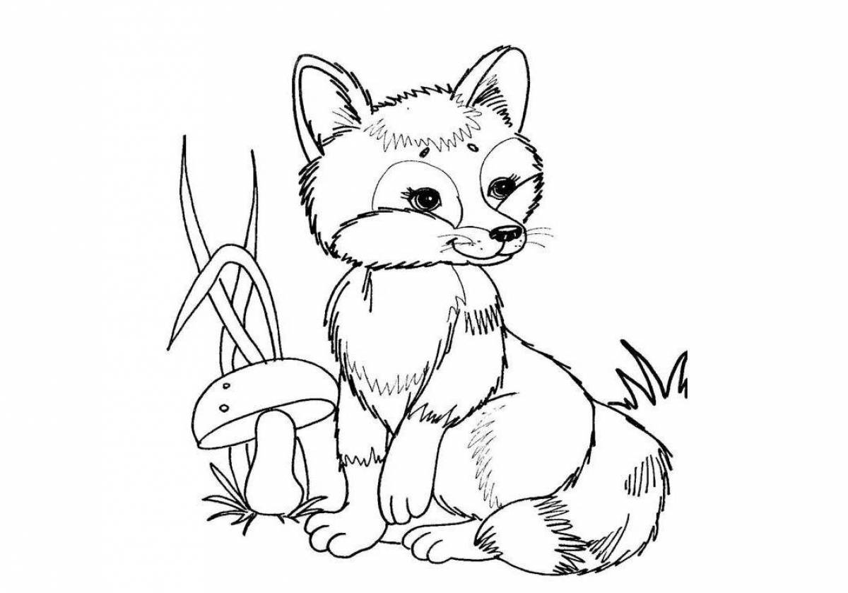Delightful fox coloring book