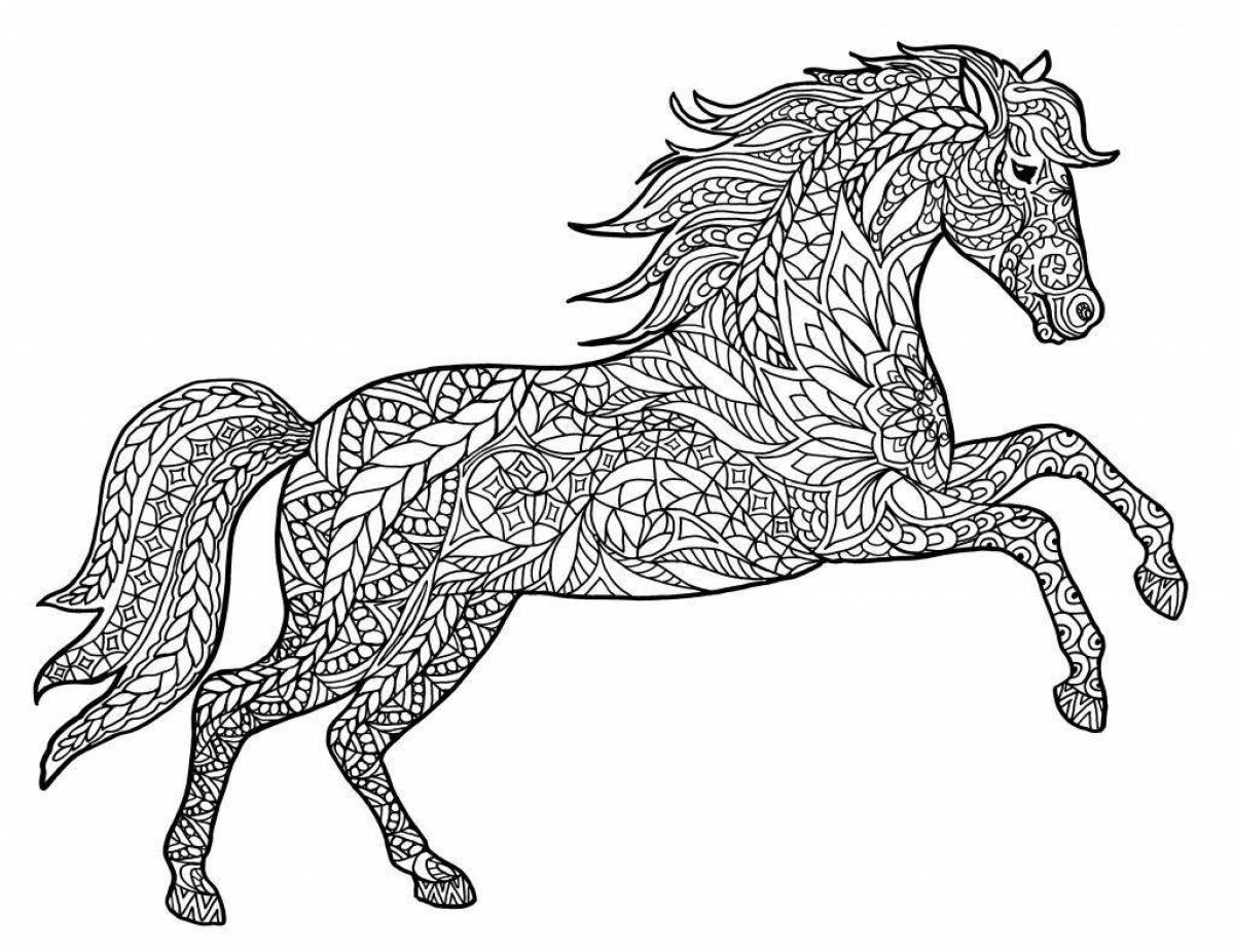 Delicate horse coloring book