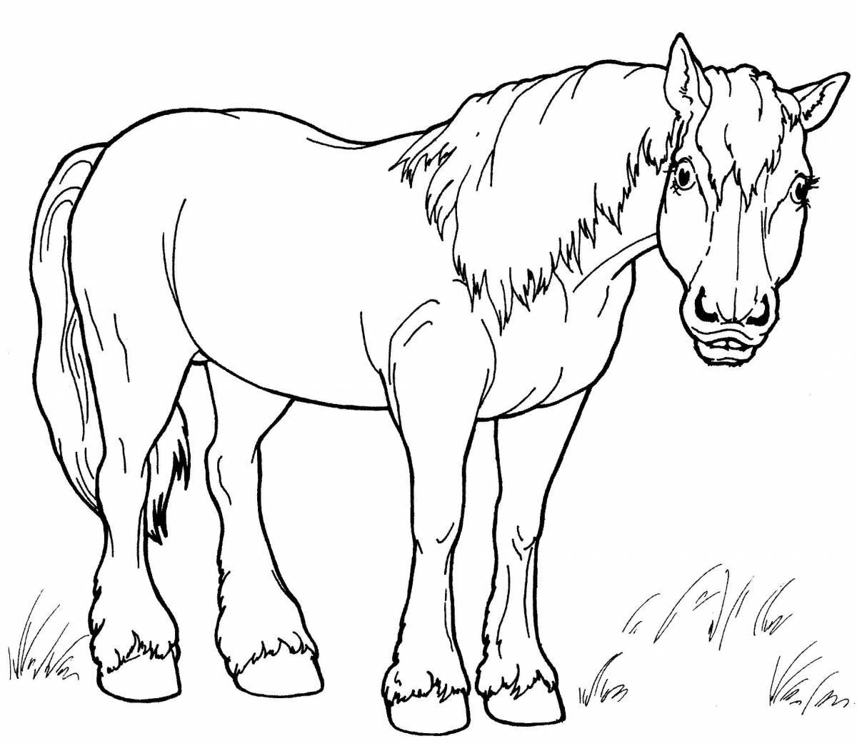 Majestic Appaloosa horse coloring page