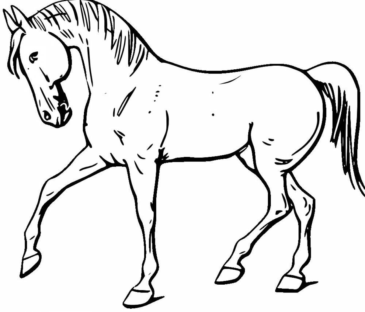Энергичная раскраска лошадь
