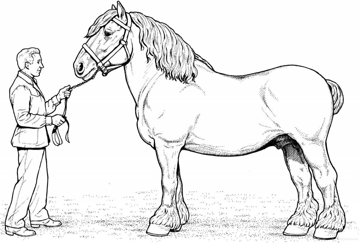 Игривая белая лошадь-раскраска