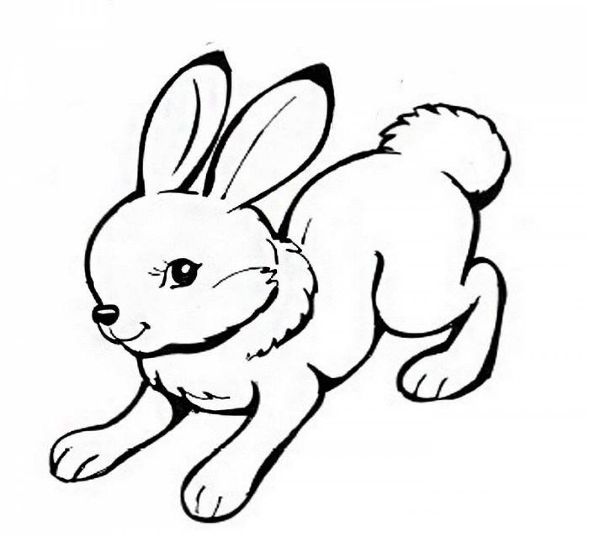 Длинноухий кролик-раскраска