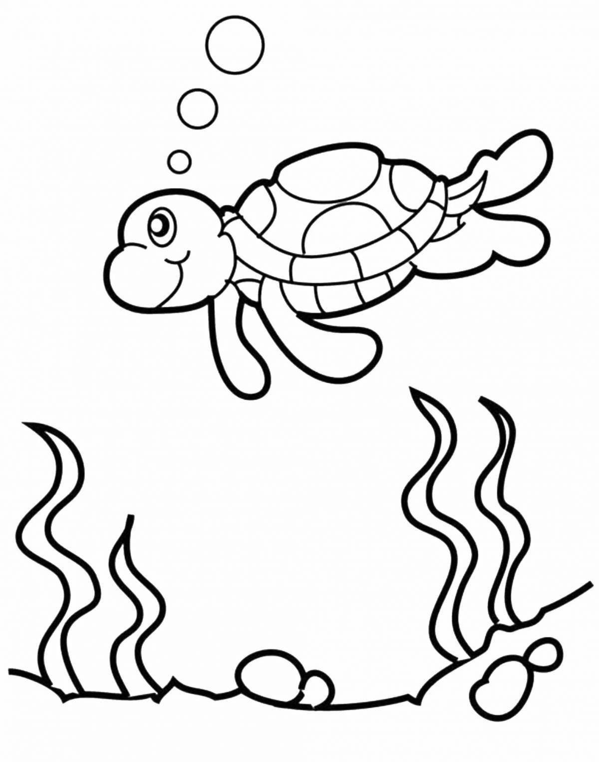 Морская черепашка раскраска для детей