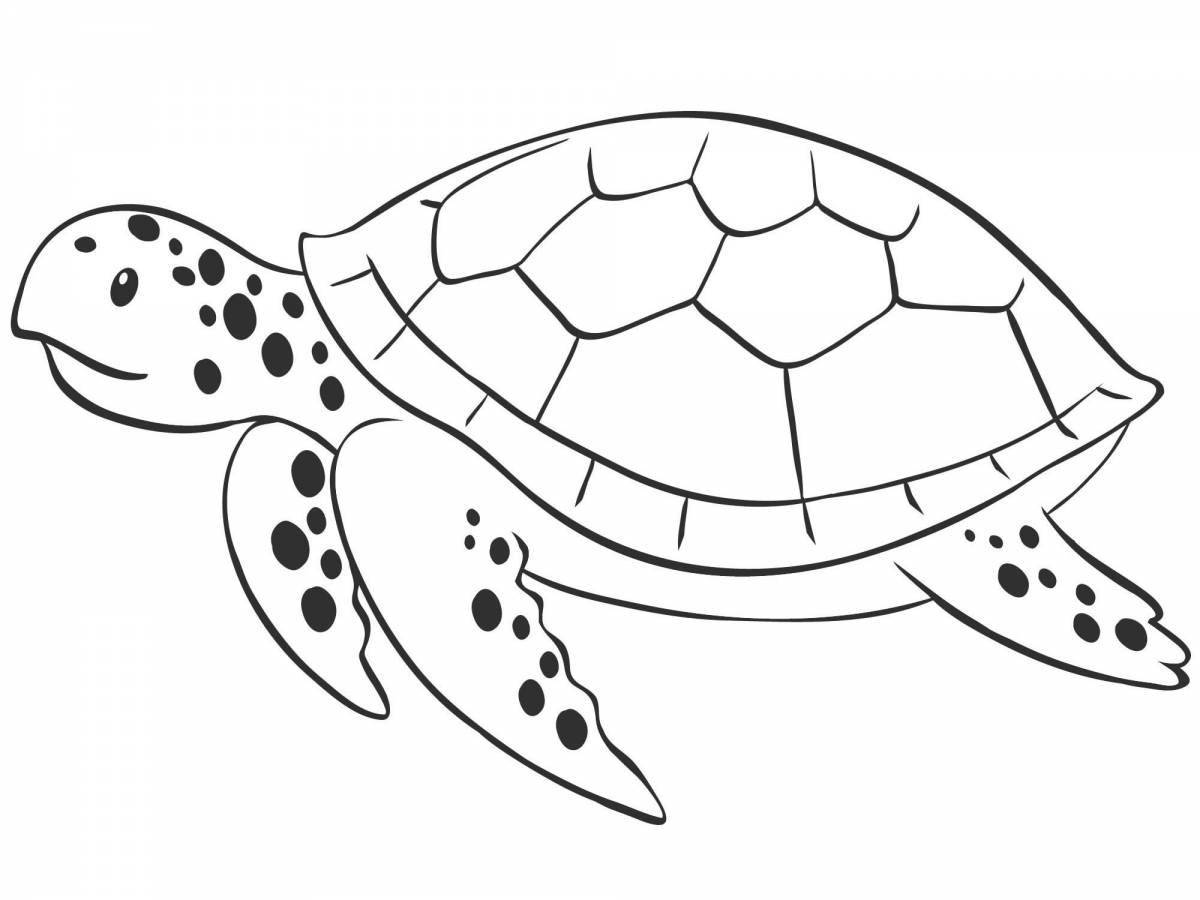 Веселая раскраска морской черепахи для детей