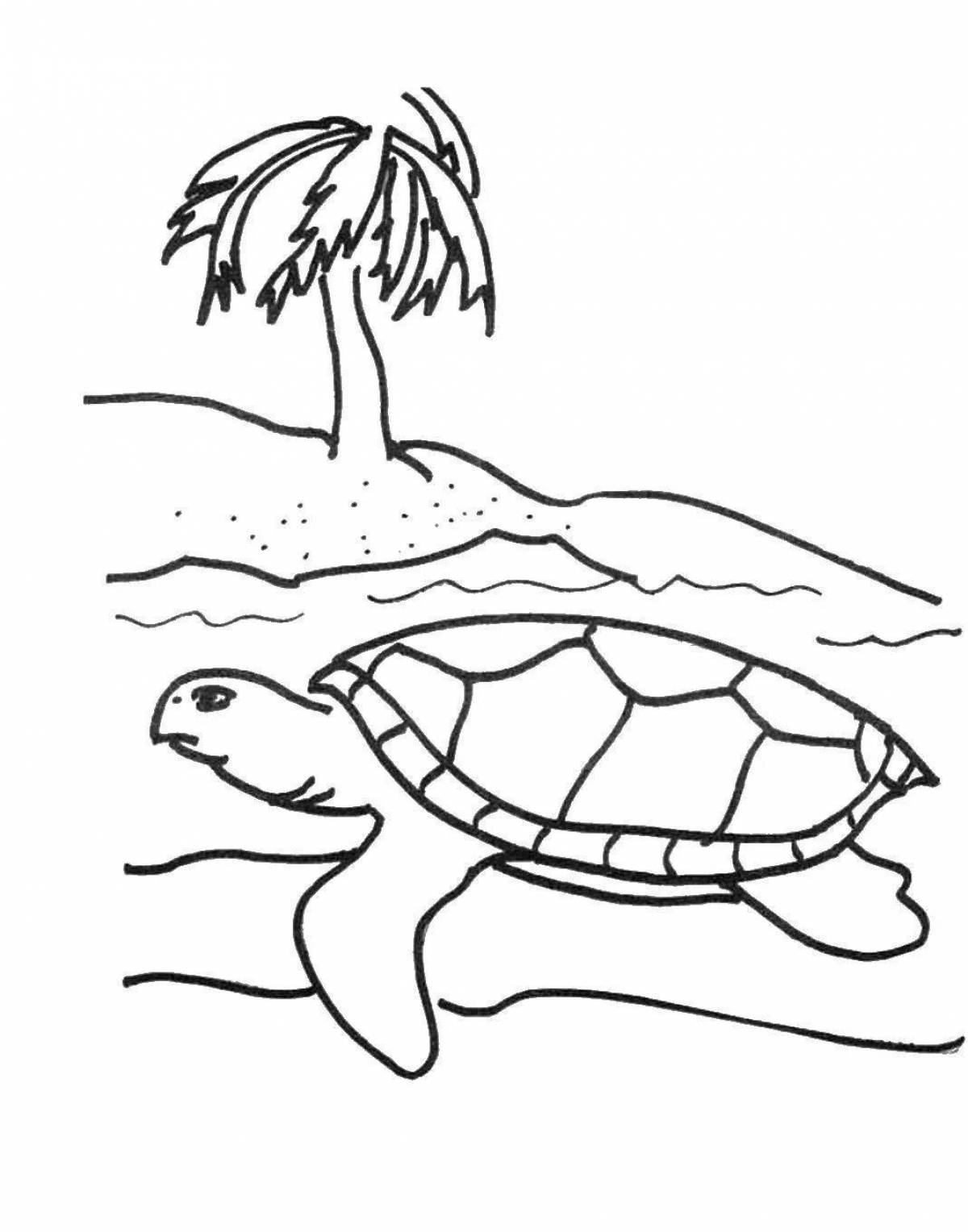 Увлекательная раскраска морской черепахи для детей