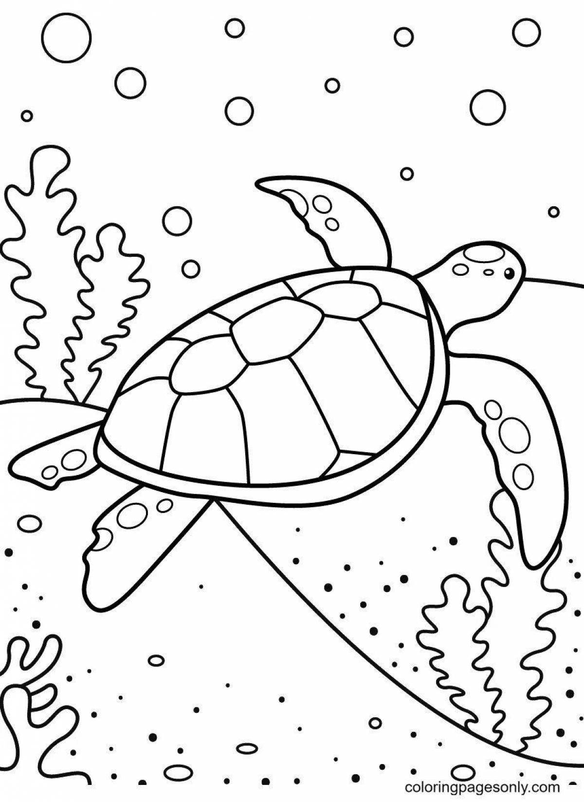 Gorgeous sea turtle coloring book for kids