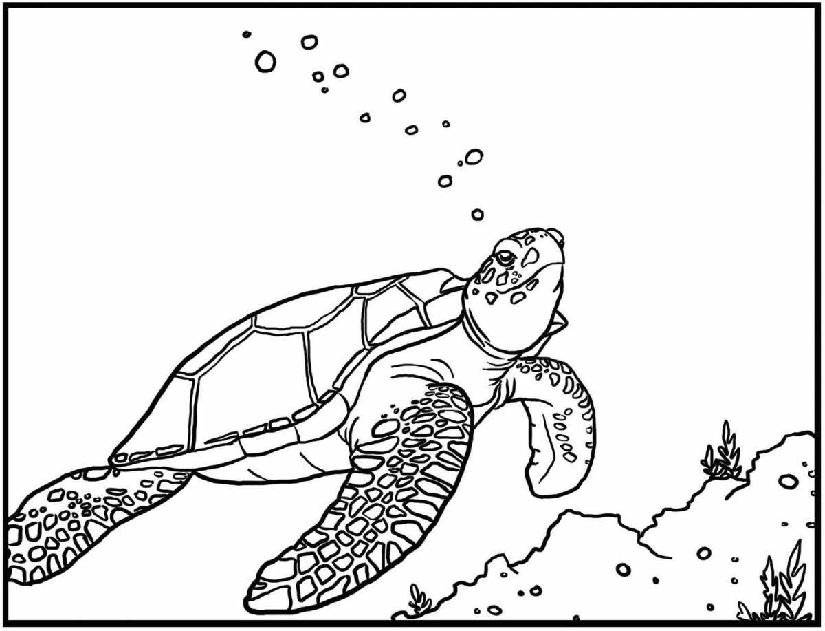Удивительная страница раскраски морской черепахи для детей