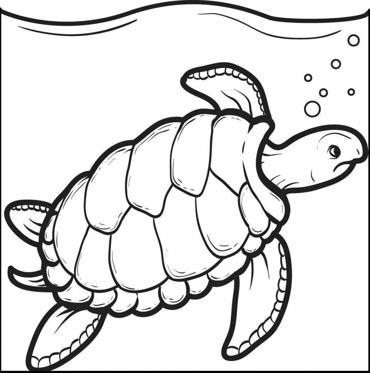 Изысканная морская черепаха-раскраска для детей