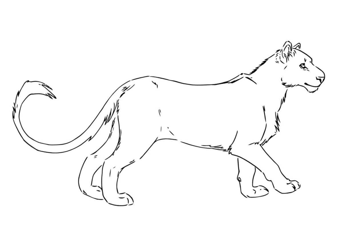 Colorful puma coloring page for kids